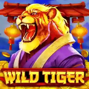 Wild Tiger by BGAMING, showcased at spin247casino.de – game logo